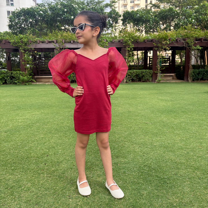 Burgendy Mesh Sleeve Dress