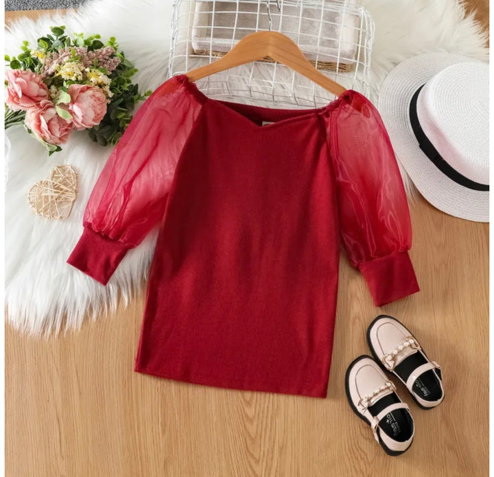 Burgendy Mesh Sleeve Dress