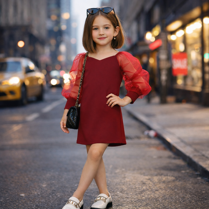 Burgendy Mesh Sleeve Dress